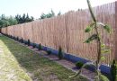Mata bambusowa na ogrodzenie - testy i opinie klientów