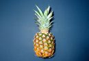 Ananas - gdzie i na czym rośnie, jak zasadzić z rozety