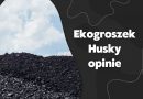 Ekogroszek i węgiel Husky - opinie klientów na forum, ile kosztuje