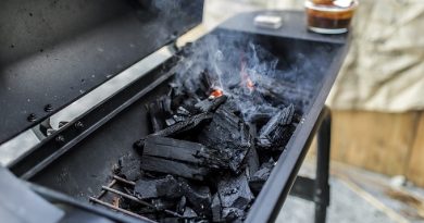 Castorama węgiel workowany do grilla i kominka - opinie, jaka cena