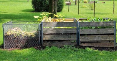 Jak zrobić kompostownik ogrodowy na działce z palet, beczki i desek (1)