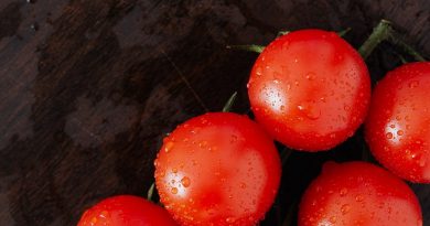 Pomidor - owoc czy warzywo Do jakiej grupy zalicza się pomidory Wikipedia (1)