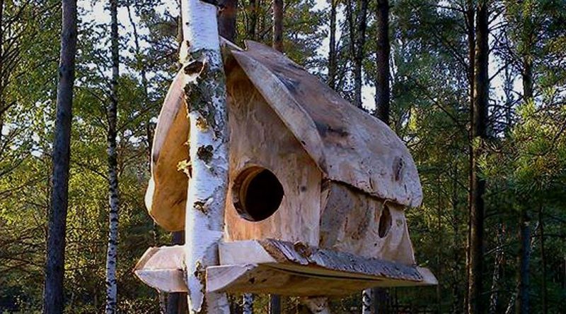 Jak zrobić domek dla wiewiórki - gdzie powiesić, jak powiesić, budka dla wiewiórki wymiary (1)