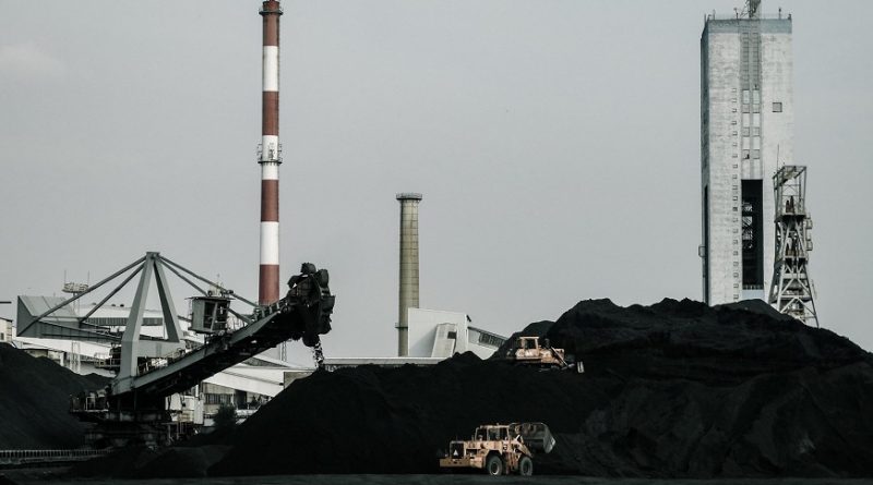 Węgiel z kopalni Piast - test, opinie na forum, kaloryczność, transport (1)