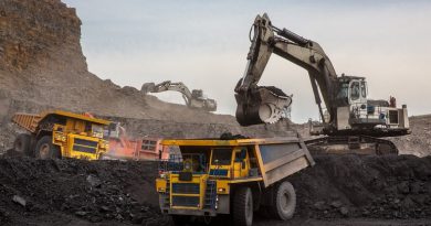 Węgiel z kopalni Staszic - opinie na forum, kaloryczność, cena, czy jest dobry (1)