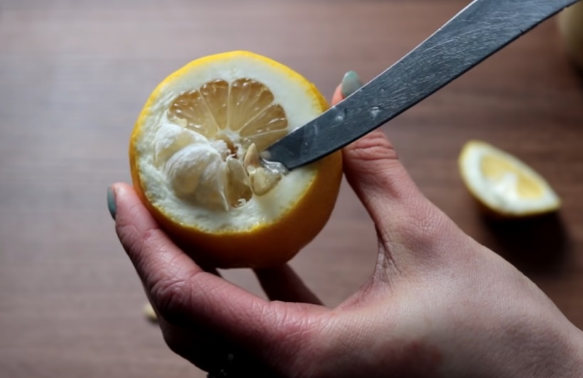Sadzenie cytryny z pestki - jak posadzić i wyhodować cytrynę z pestki, co warto wiedzieć