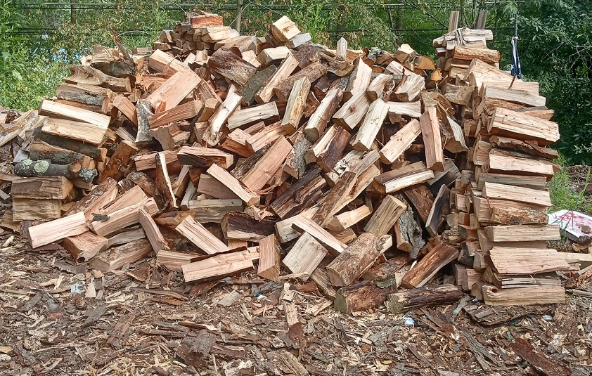 Ile waży metr sześcienny drewna suchego, opałowego, sosnowego, bukowego, brzozy i dębowego  (4)