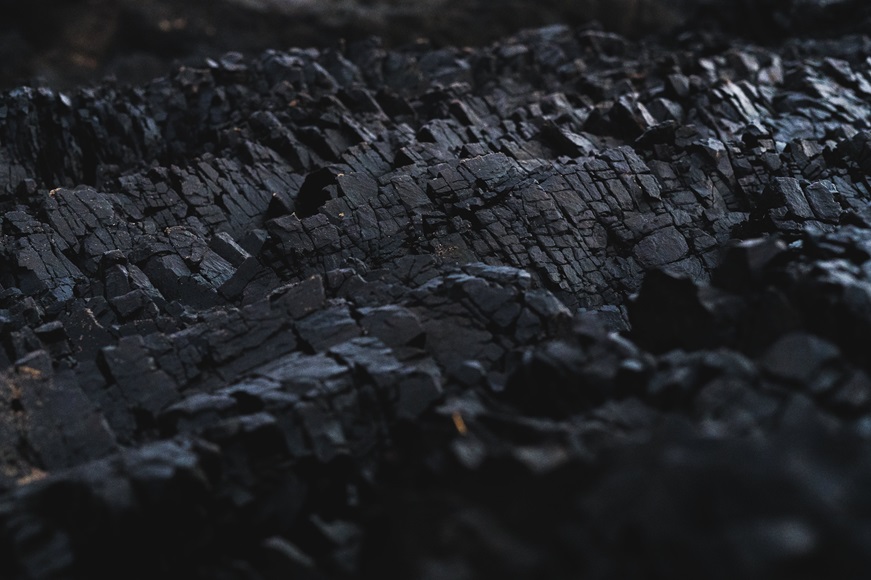 Jak i z czego powstał węgiel brunatny i kamienny (2)