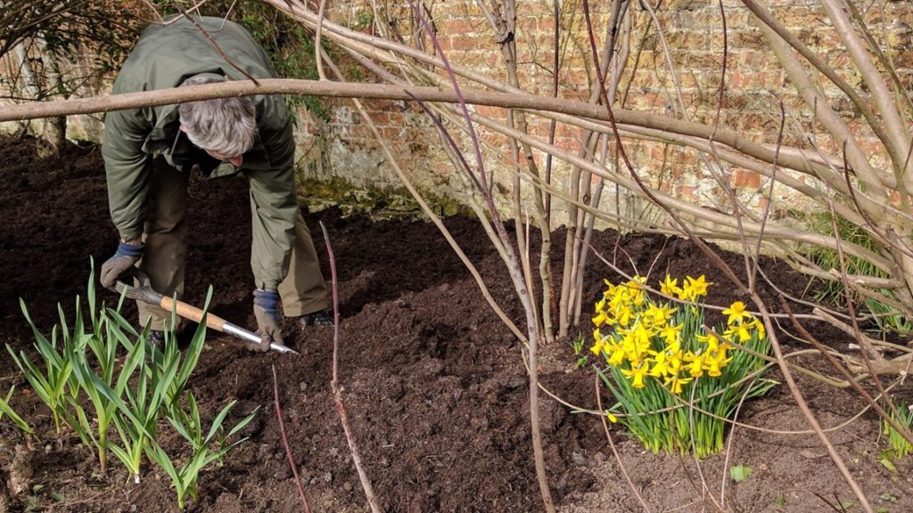 Kiedy i jak przekopać ogródek na wiosnę (1)